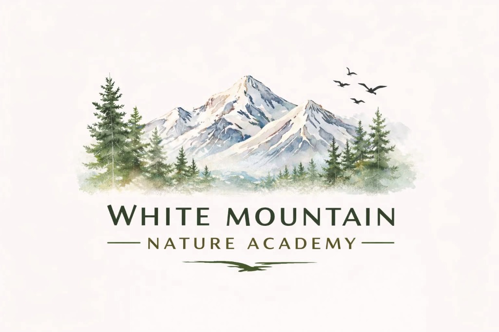 nature, trees, children, education, outdoor environment nature, trees, children, education, outdoor environment