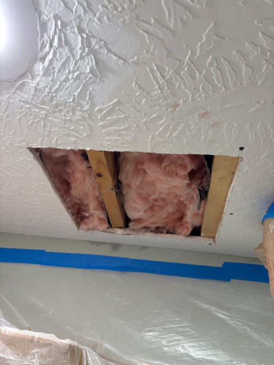 Professional roof inspection on a residential home